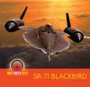 SR-71_Blackbird___Kate_Riggs