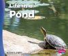Life_in_a_Pond