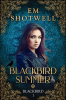 Blackbird_Summer